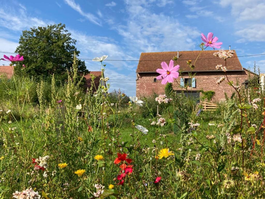 La Grange De Bois De Chene Lägenhet Phalsbourg Exteriör bild